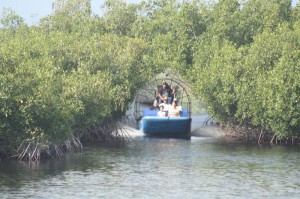 airboats eco-friendly everglades