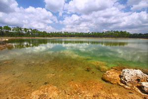 Everglades National Park - Usa