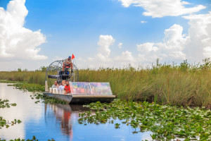 Tourists Riding An Airboat In The Everglades